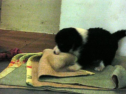 12384881 36dbcee68bd992065d4e69e81f3a788d xl