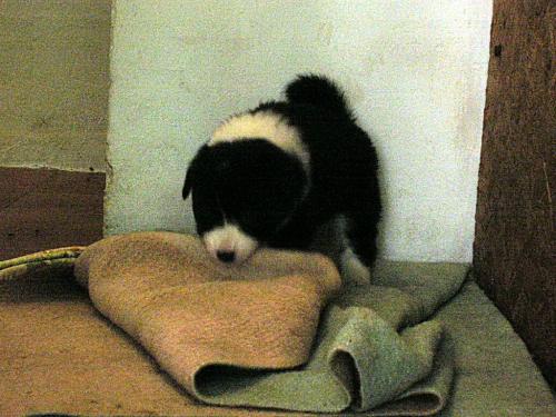 12384883 badae0f5e5c5f06d8ba26a12e0f01354 xl