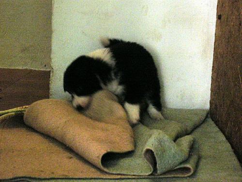 12384887 87f1bb9ce5169f64d9d48a8911797201 xl