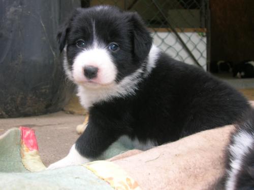 12384889 32a1b4fc79ce6ef0bf2c6b9f2f79d249 xl