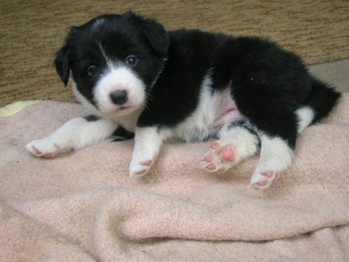 12384891 d9b6aac5fbc0928881983e7ae2b2ca70 xl