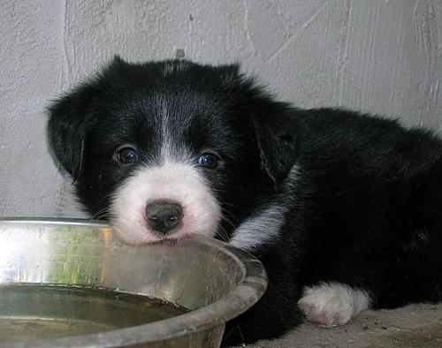 12384899 4c81c5b59064ffbe20487e7e1663005b l