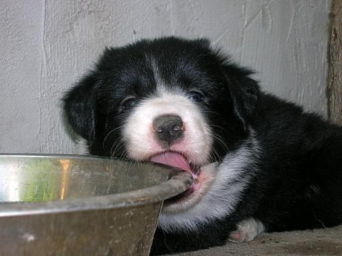 12384903 46c9912c357e75ef53cf02af8eec8f4a xl