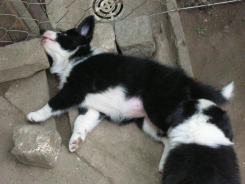 12384905 77a50c577a1a54d548b65b845320dd1d xl