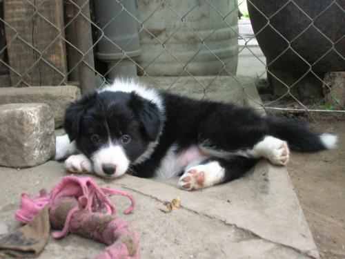 12384907 d91e586a669784618ac49e6bad61c134 xl