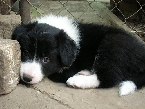 12384909 49a7ac351dece53647d85e49d01e3e42 xl