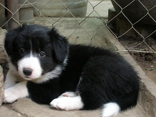 12384913 5a194dd4fc91459f05658162f5a06f39 xl