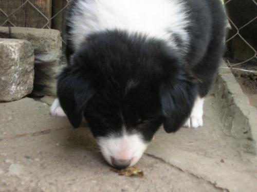 12384915 753d534895b9ae5d3566dad491ff23e5 xl