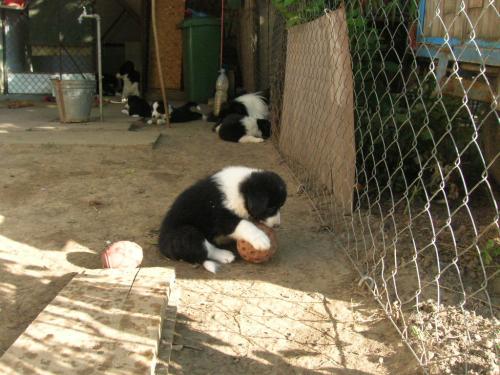 12384917 c5e2729896e3b284854eb40b33bcbd8f xl