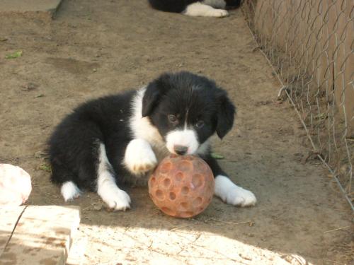 12384921 a622e9aee399a1ecf7538037adf07256 xl