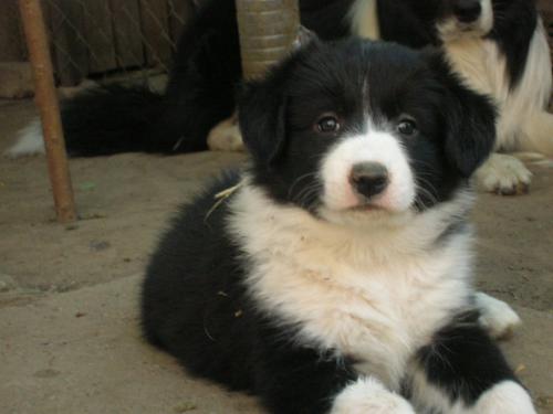 12384923 cbd7861ed41c8d32665bd425e10f37d0 xl