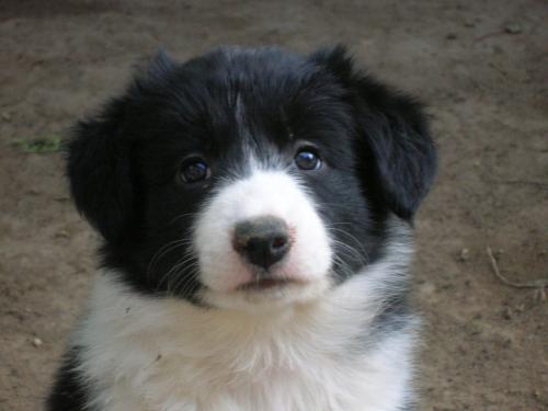 12384929 c9ae5da4d3d7dc89b7a17353cea6087b xl