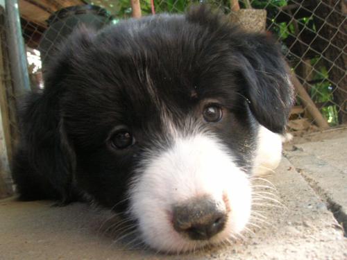 12384931 bdd9905f94ffd5fba549f49ee242a7a8 xl