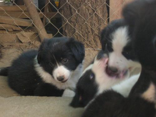 12384935 2b28a5f0b46d0ee40c498412ec206644 xl