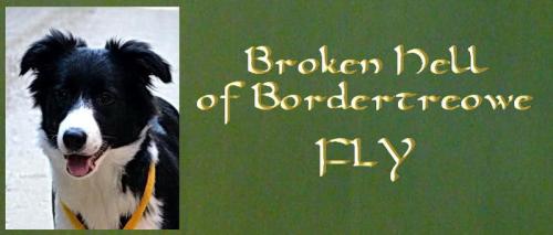 13706859 7009c804e196b1c0cbe584389e75cf52 l