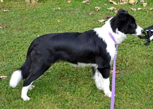 13707343 eae7a335be4de5b30d1e45f9ce20c548 l