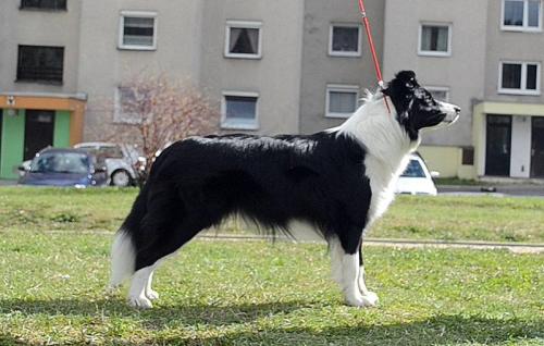 15107881 771276eab0ede926b566f9b16ebbf228 l