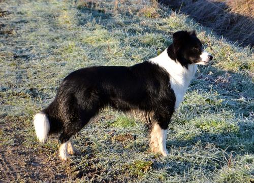 17687461 1aaaea859966431feee37e7afb3d3ef0 xl