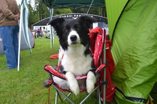 22149577 930884c91796ee64b4fcc93e51c5b025 xl