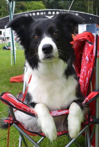 22149659 279bb120493c15f7f630875c7e012a4a m