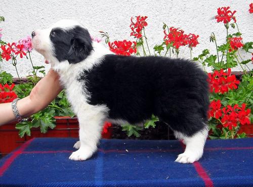 8756525 1f69251faebdd8f1da1a6a9bca78d34a xl