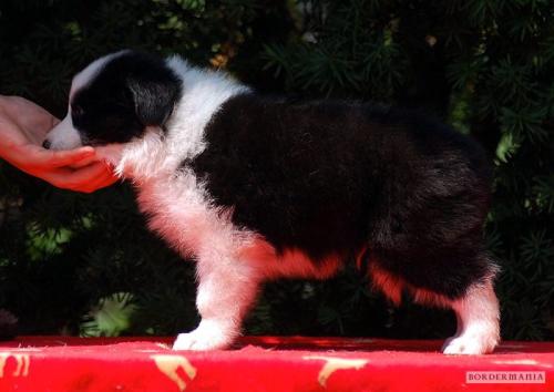 8756527 671fee055740044068ebf1855f4b796f l