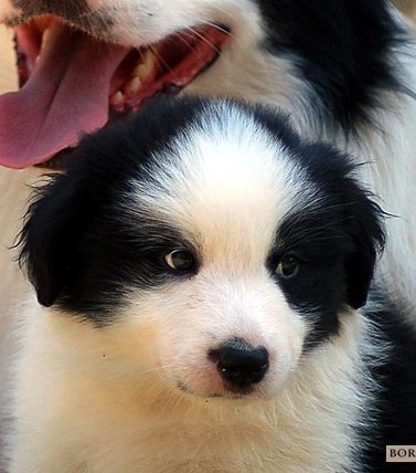 8756529 d19797fb380a15233672f848f4674d31 m