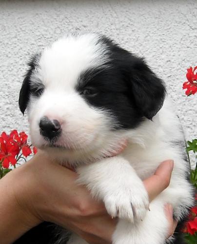 8756533 255ba7e2c35c8a0e3422b8bd58766897 xl