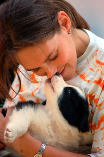 8756547 a3ebb6084f80409f75bfdcfa1e2c0803 xl