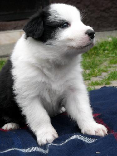 8756549 ef9d9383ec2fe4c88d3d4846241a743f xl