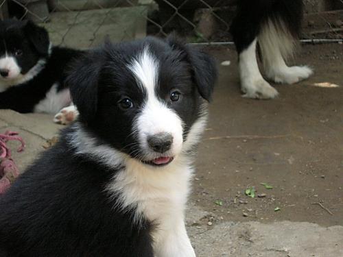 12384499 6a80275cfc0d6db5e0704da6e7aa68d4 xl