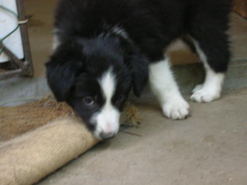 12384505 66e201afb811023c4e8026f4ccb86fb2 xl