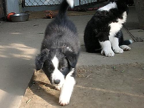 12384507 eb6ae7e15ebf4f8611e2b30201eaea34 xl