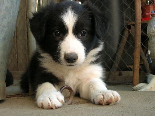 12384511 0caa25ad3c1498d2e3c8de1db07ba323 xl