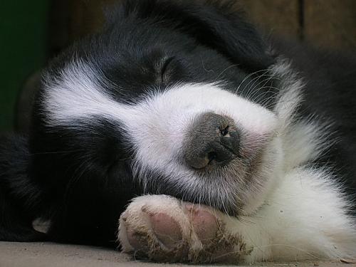 12384513 adf0f4b63810ff05050efd41f5d91fec xl