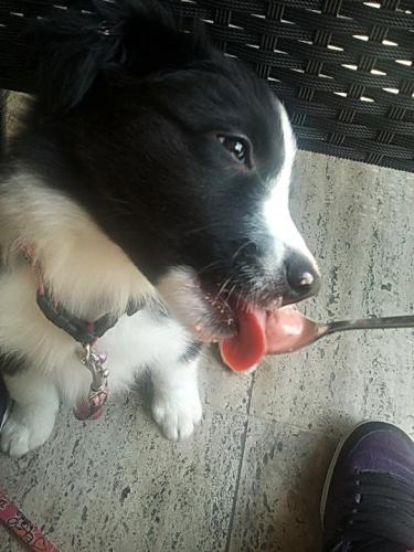 12384563 791f7bc1bfd833be4c8a4e8dc6100994 l