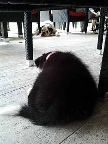 12384567 0c5847f4800f3a8e43bb570bd239effd l