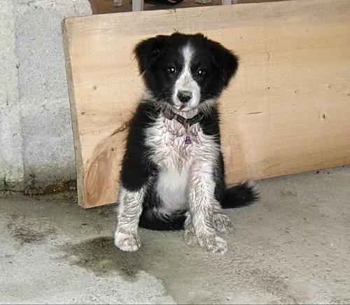 12384569 526cc83fbe043f28be158f8065b2013d l