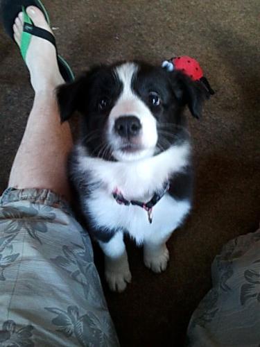 12384575 1abf6177df9ce9cc4633c5746af71aef l