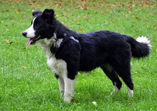 13707237 321245a8d8513eba2b4d069a377937fb l