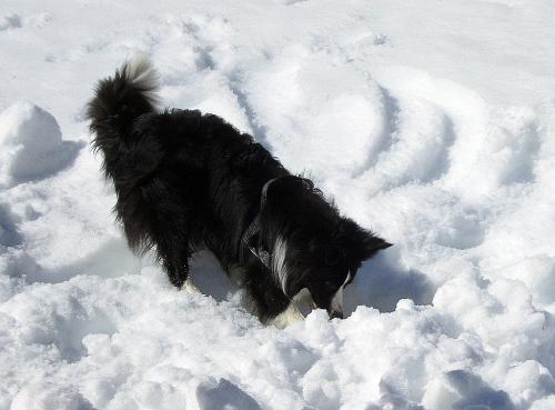 14982821 44285a1515e08bb21e12e9670a28f12a xl