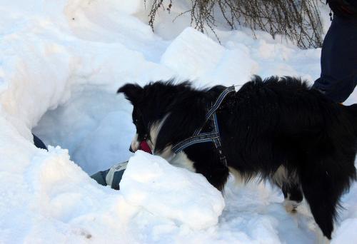 14982833 269dcd71732b0250fffd5952faad1dc3 xl