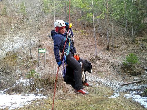 14982837 5edb8b0d7e84b2f7c5848391ad52787b xl