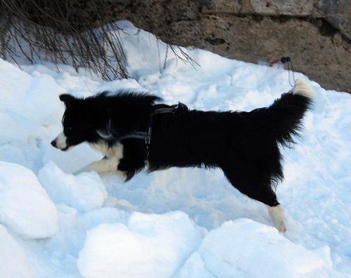 14982847 9e908e3d2ae3295f3a2d24f451ffac68 xl