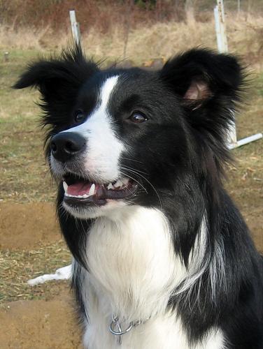 14982925 9fbe75d67803225e0e00b4a39bf40427 xl