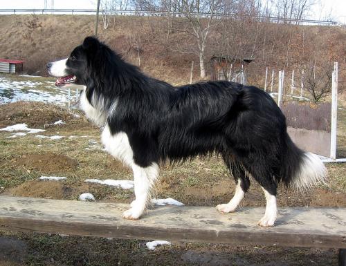 14982947 89d936ebc44e6cc6f48a86c1449f6acd xl