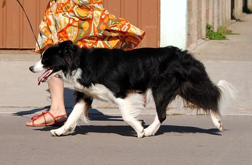 19520801 5df78accb38a4845bc93b8f9e22afb29 xl