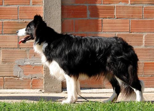 19520803 fadcaf04986344b43e1d1d37118afb1b xl