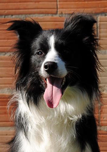 19520807 0dfeea39950fda480644a0d76686c89f xl