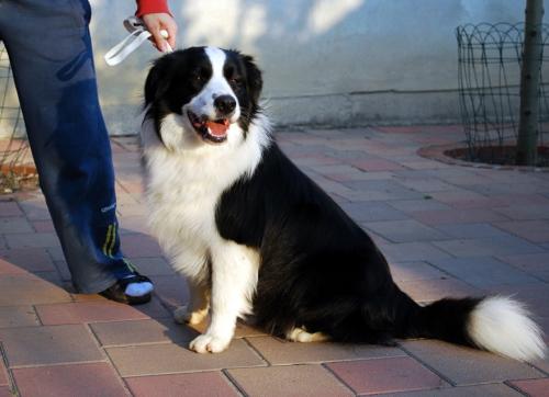 8157657 e594f5514b327be477422fc70288070a xl